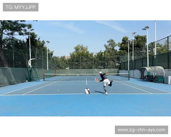 网球发球上网致胜成为经典战术示范